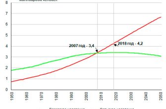 analiz urovnya bezrabotitsy v gorodah kmv tendentsii i prognozy