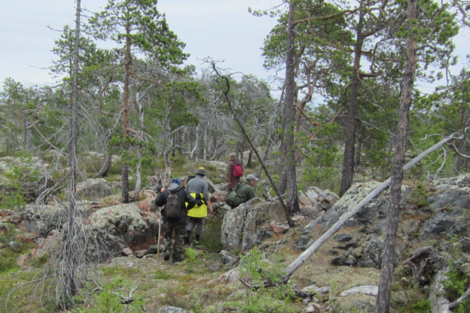 ekologicheskiy turizm v kavkazskih mineralnyh vodah strategiya ustoychivogo razvitiya 1
