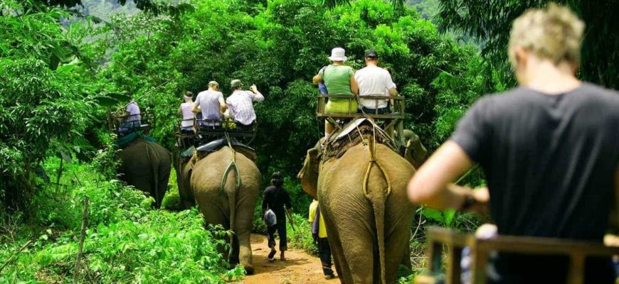 ekologicheskiy turizm v kmv vliyanie klimata na prirodu i otdyh