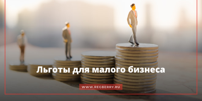 gosudarstvennaya podderzhka malogo biznesa v turisticheskoy sfere kmv
