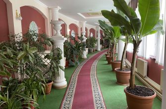 gosudarstvennoe regulirovanie kurortnoy meditsiny kmv