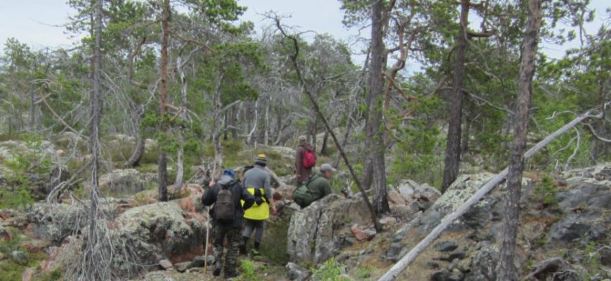 infrastruktura ekologicheskogo turizma v kavkazskih mineralnyh vodah problemy i perspektivy