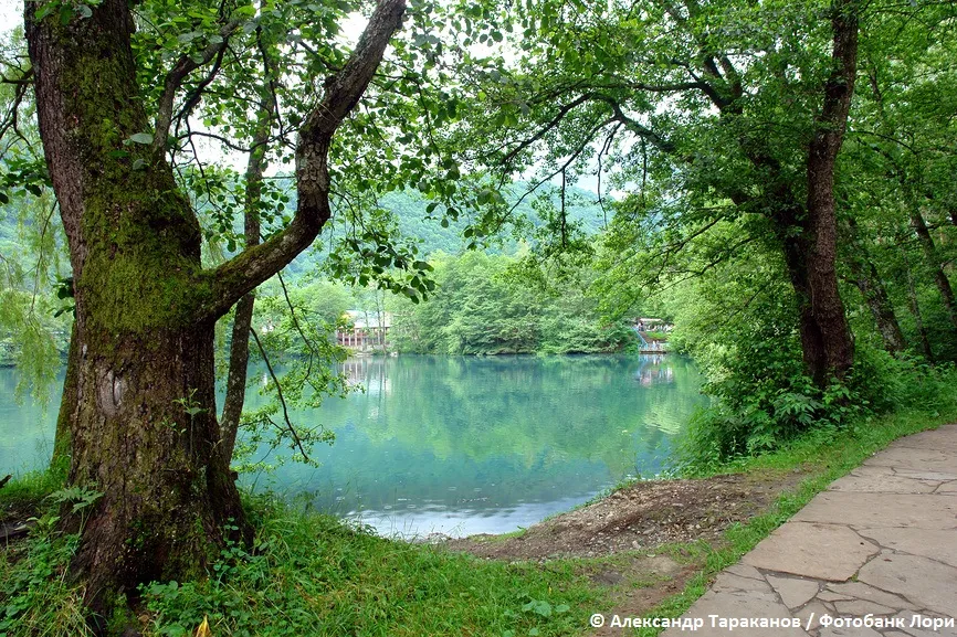 innovatsionnye tehnologii v landshaftnom dizayne kurortov kavkazskih mineralnyh vod