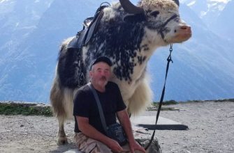 ispolzovanie ii dlya sozdaniya unikalnyh turisticheskih marshrutov po kmv 1