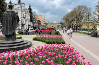 kmv s detmi razvlecheniya dlya vseh vozrastov
