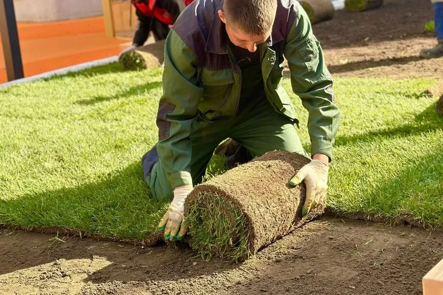 landshaftnyy dizayn i dostupnaya sreda dlya lyudey s ogranichennymi vozmozhnostyami na kmv