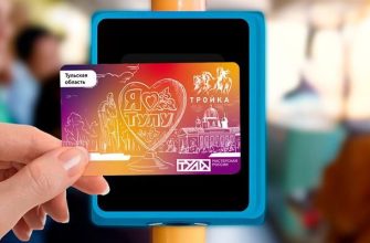 mobilnye prilozheniya dlya turistov v kmv vozmozhnosti i perspektivy