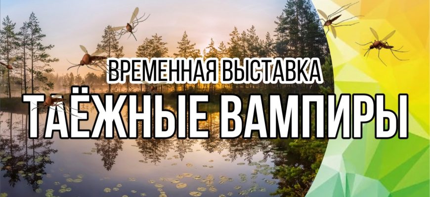 muzei i galerei essentukov privlechenie turistov kulturno prosvetitelskimi initsiativami