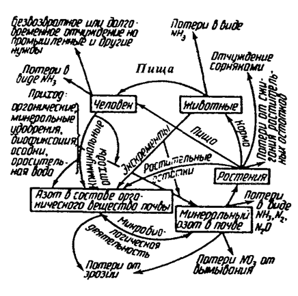 Оценка антропогенной нагрузки на экосистемы КМВ в условиях роста туристического потока 12 otsenka antropogennoy nagruzki na ekosistemy kmv v usloviyah rosta turisticheskogo potoka