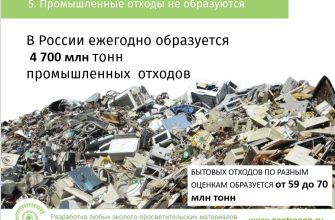 razdelnyy sbor othodov opyt vnedreniya i effektivnost v usloviyah kmv