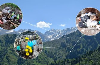 rol mestnyh soobschestv v razvitii ekologicheskogo turizma kmv
