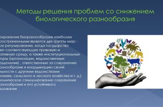 sohranenie bioraznoobraziya ohotnichih ugodiy kmv problemy i puti resheniya