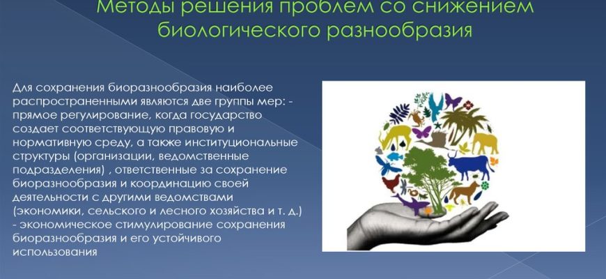 sohranenie bioraznoobraziya ohotnichih ugodiy kmv problemy i puti resheniya