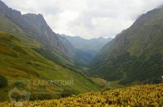sohranenie lesnyh ekosistem kavkazskih mineralnyh vod