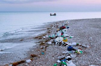sohranenie prirodnogo naslediya cherez razvitie ekologicheskogo turizma na kmv