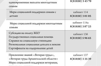 sotsialnaya zaschita naseleniya gorodov kmv analiz suschestvuyuschih programm i perspektiv ih razvitiya