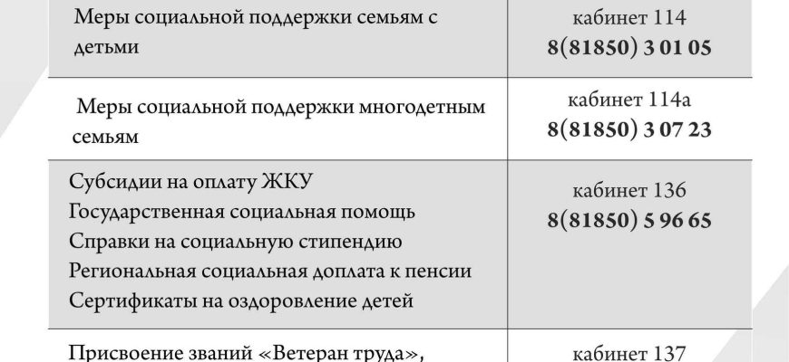 sotsialnaya zaschita naseleniya gorodov kmv analiz suschestvuyuschih programm i perspektiv ih razvitiya