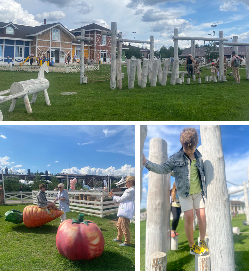 sozdanie semeynogo parka razvlecheniy v kmv etapy realizatsii 1