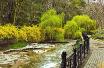 turisticheskiy potentsial kislovodska i ego ispolzovanie