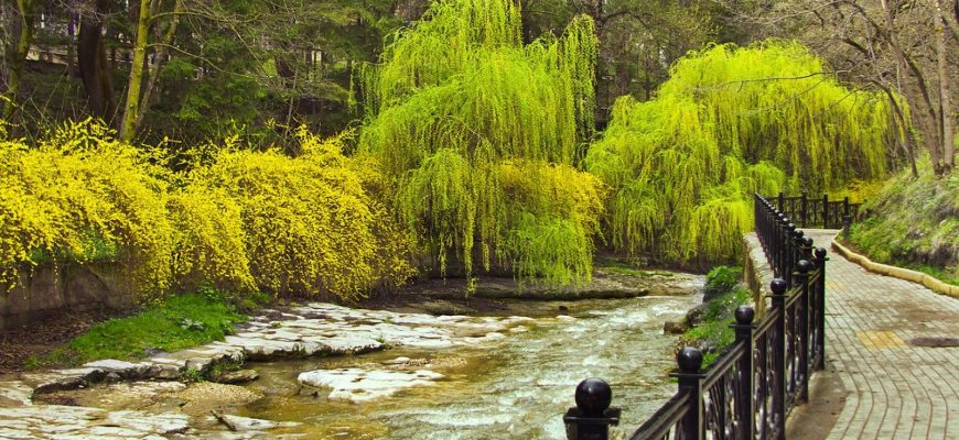 turisticheskiy potentsial kislovodska i ego ispolzovanie