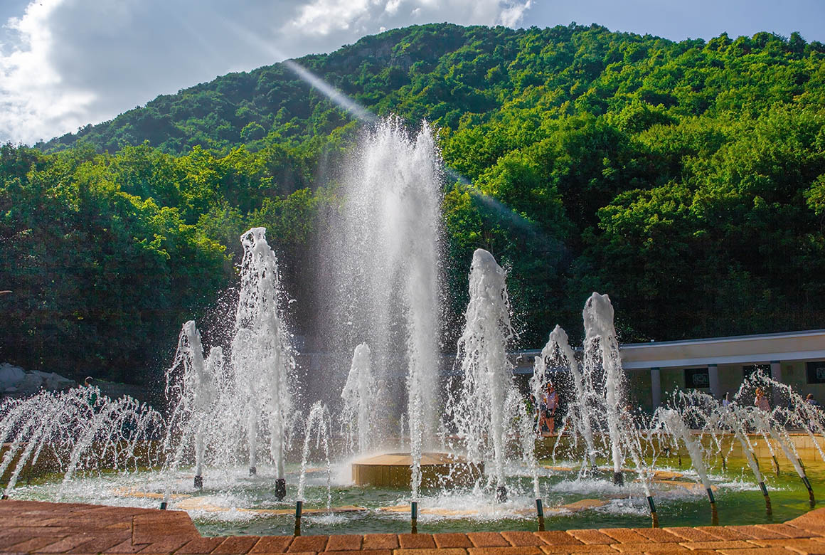 unikalnye ekosistemy kavkazskih mineralnyh vod sohranenie i razvitie 1