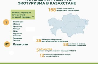 vliyanie ekologicheskogo turizma na ekonomiku kmv 2