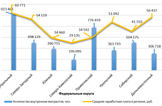 vliyanie migratsii na sotsialno ekonomicheskoe razvitie kmv