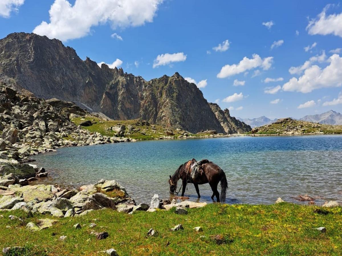 Влияние туризма на биоразнообразие КМВ: проблемы и решения 7 vliyanie turizma na bioraznoobrazie kmv problemy i resheniya 1