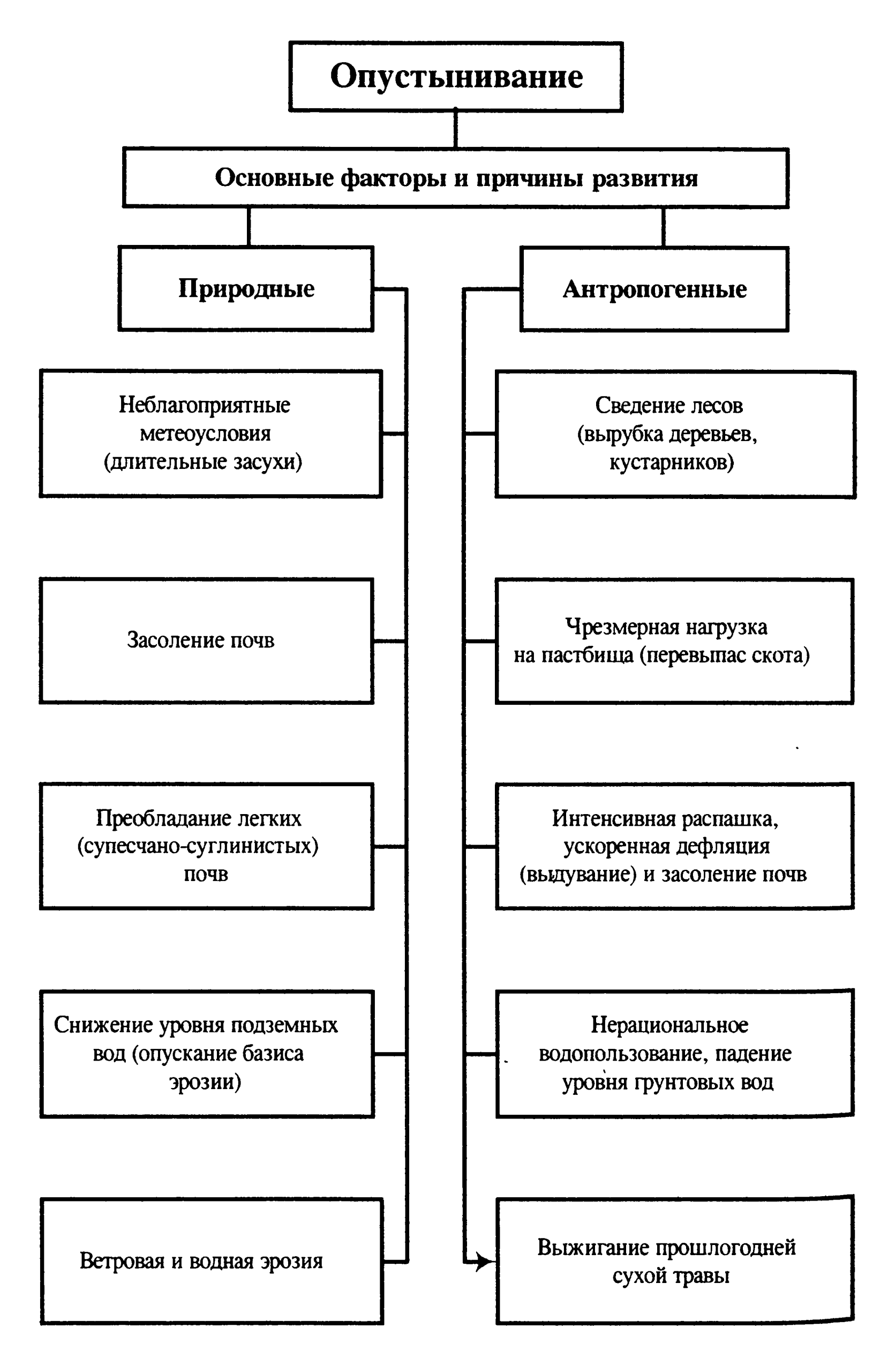 Воздействие антропогенных факторов на биоразнообразие КМВ 7 vozdeystvie antropogennyh faktorov na bioraznoobrazie kmv scaled